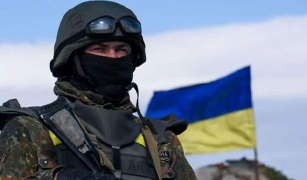 В ДНР ликвидировали украинского снайпера по кличке «Курочка»