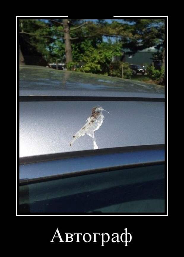 Демотиваторы