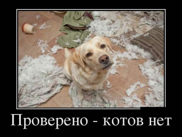 Демотиваторы (30 фото)