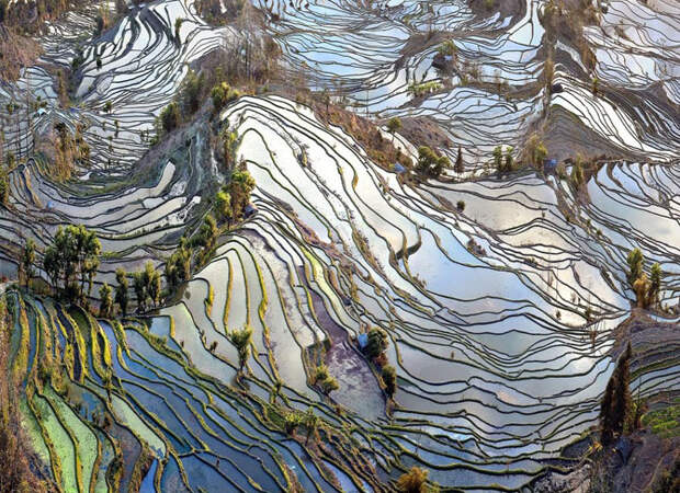Лучшие фотографии National Geographic апреля 2014