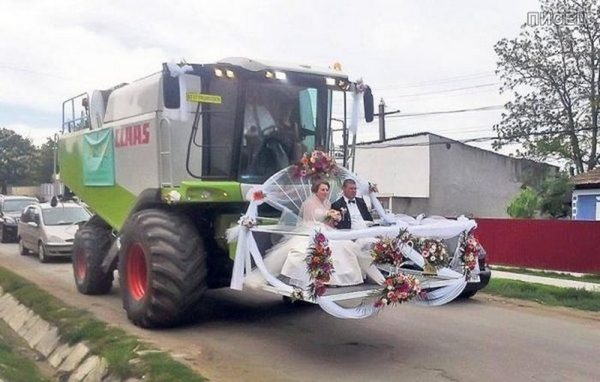 Свадебные приколы: смешно и горько!