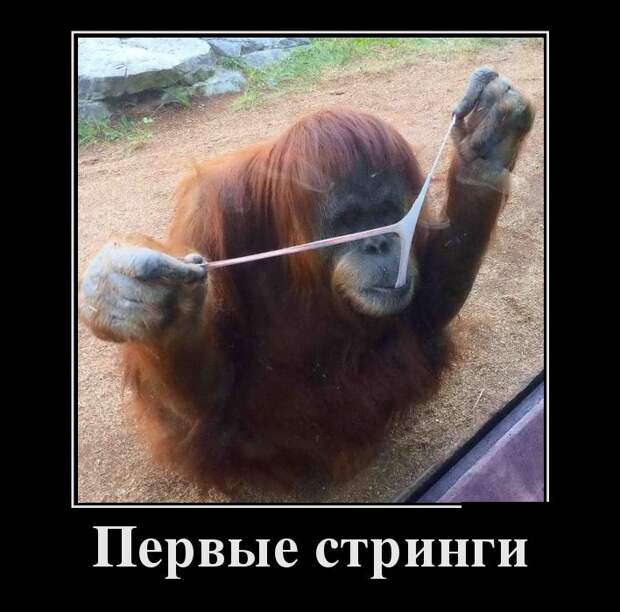 Демотиваторы Демотиваторы демотиваторы, юмор