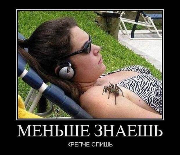 Смешные картинки с надписями Смешные картинки с надписями демотиваторы, прикол, юмор
