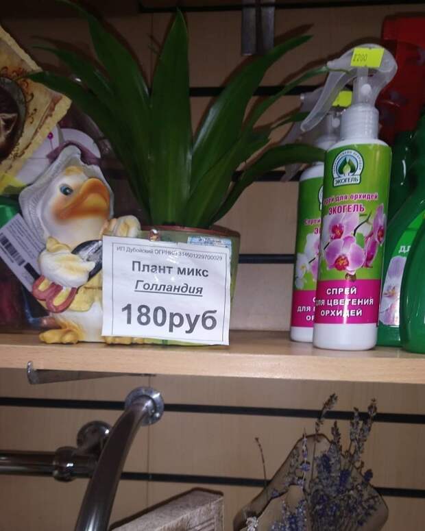 Сама беспалевность, или как все делать незаметно Сама беспалевность, или как все делать незаметно