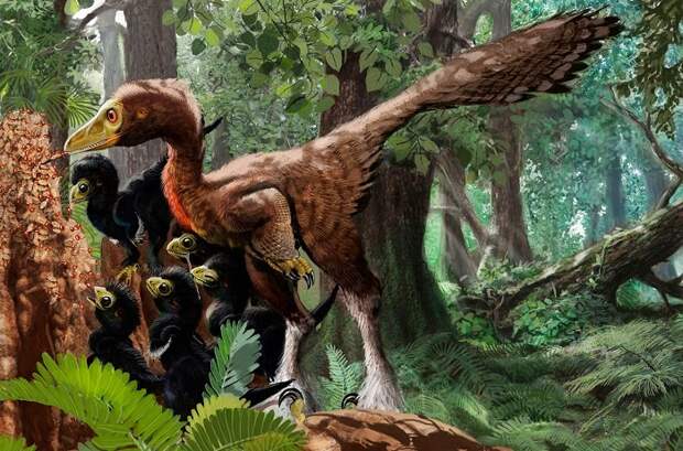 Оказывается, динозавры частенько были пернатые. /Фото: obzor.city Оказывается, динозавры частенько были пернатые. /Фото: obzor.city