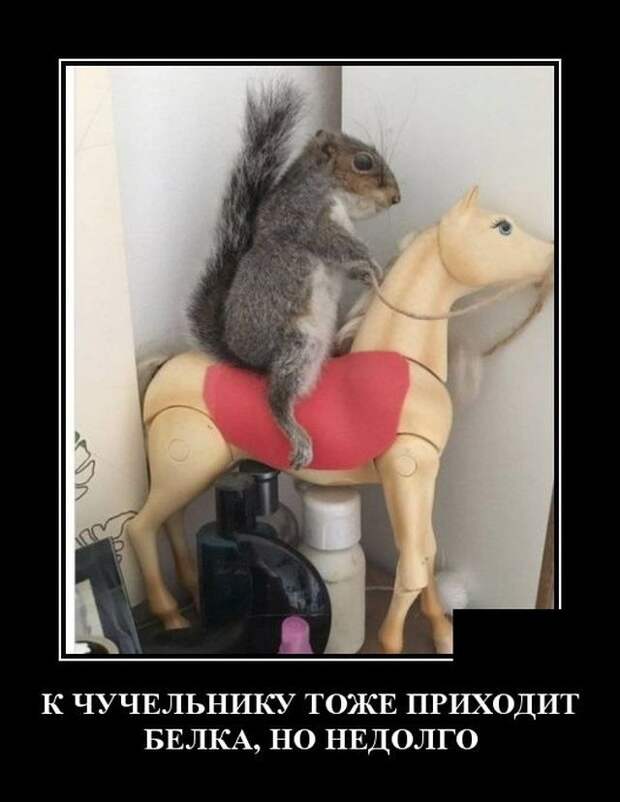 demotivatory-demotivator-smeshnye-demotivatory-demotivator-so-smyslom