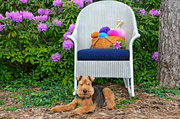 Удобное кресло в саду