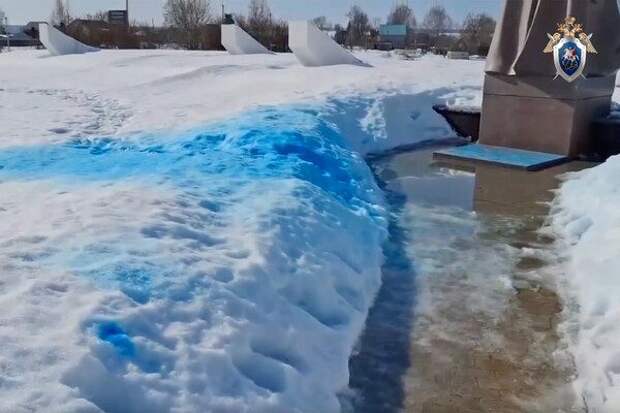 Семье грозит миллионный штраф за гендер-пати у памятника Жукову. «Умысла не было»