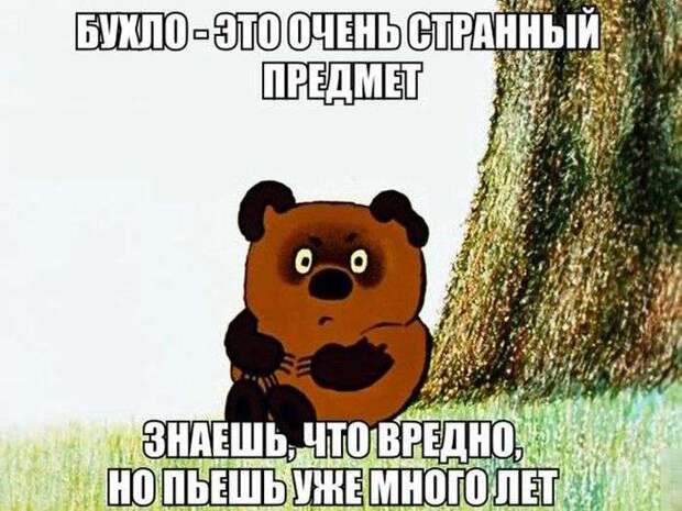 Забавные картинки Забавные картинки