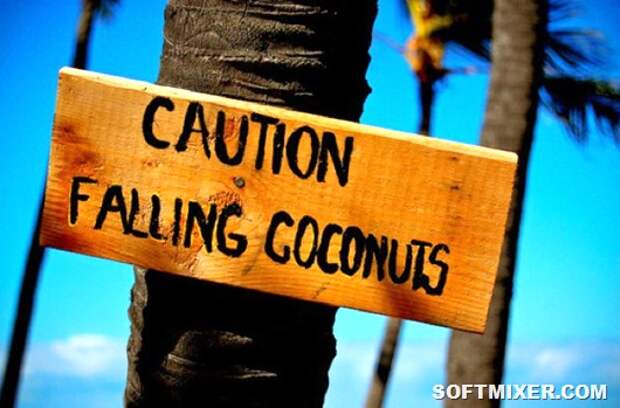 caution-falling-coconuts