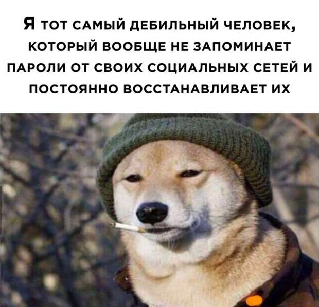 Подборка интересных и веселых картинок Подборка интересных и веселых картинок