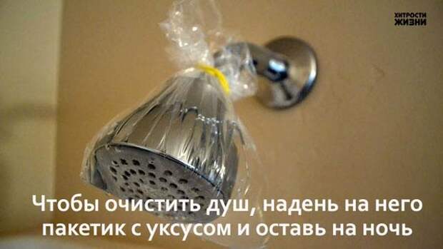 чистота залог здоровья