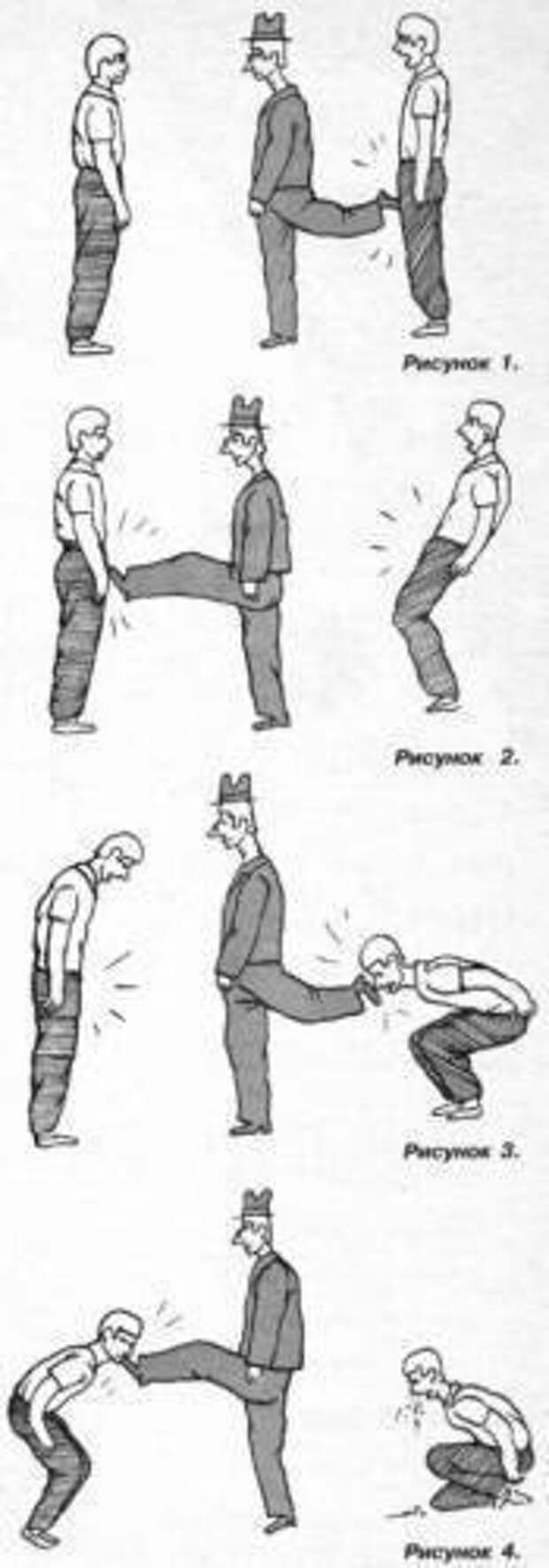 Картинки, юмор, приколы