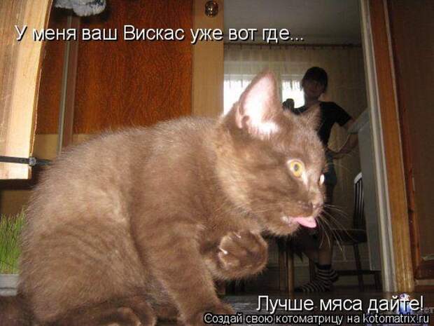 Мысли вслух :)