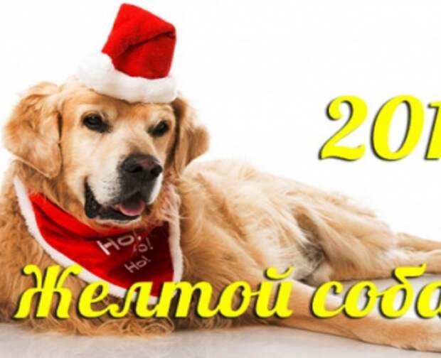 Желтая Собака - символ китайского Нового Года