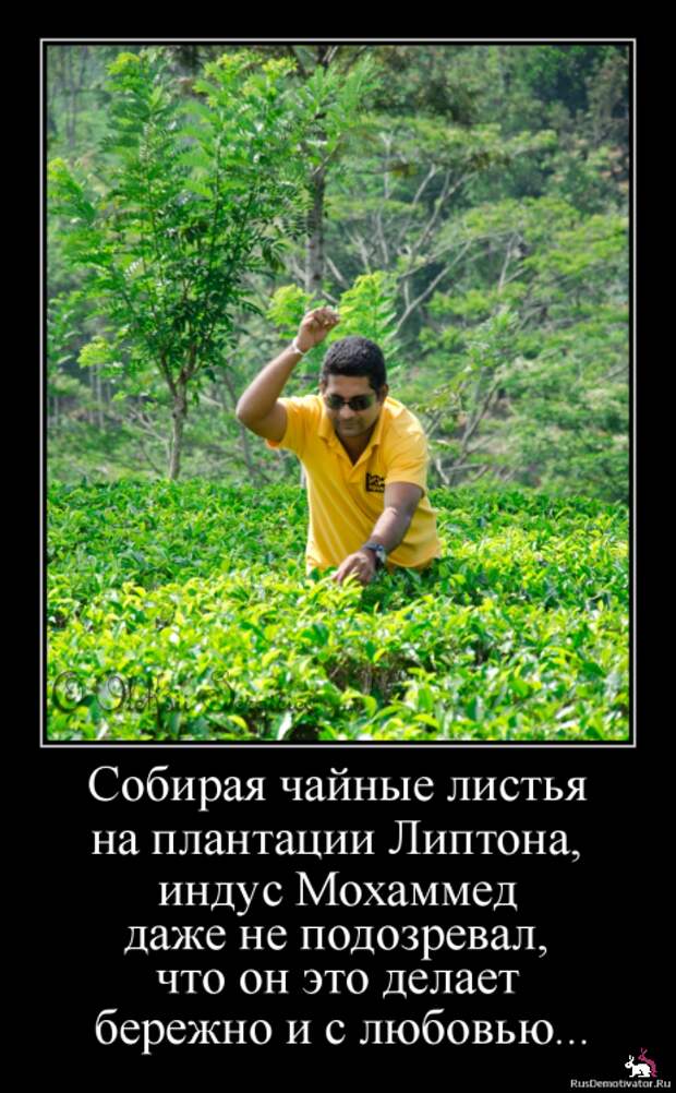 Блоги.  -  