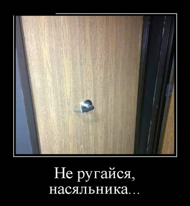 Демотиваторы (30 фото)