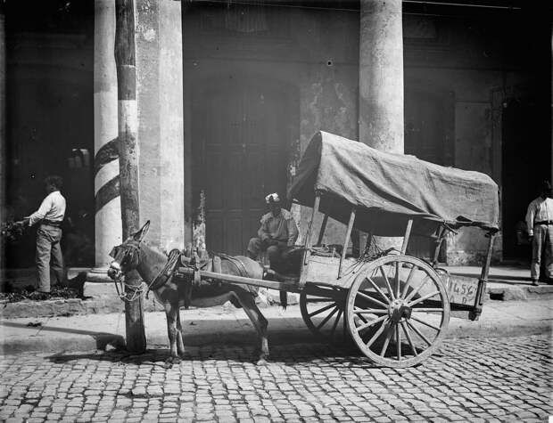 Повозка торговца кокосами, 1890.