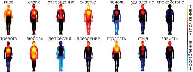 Тело помнит все: где спрятались переживания