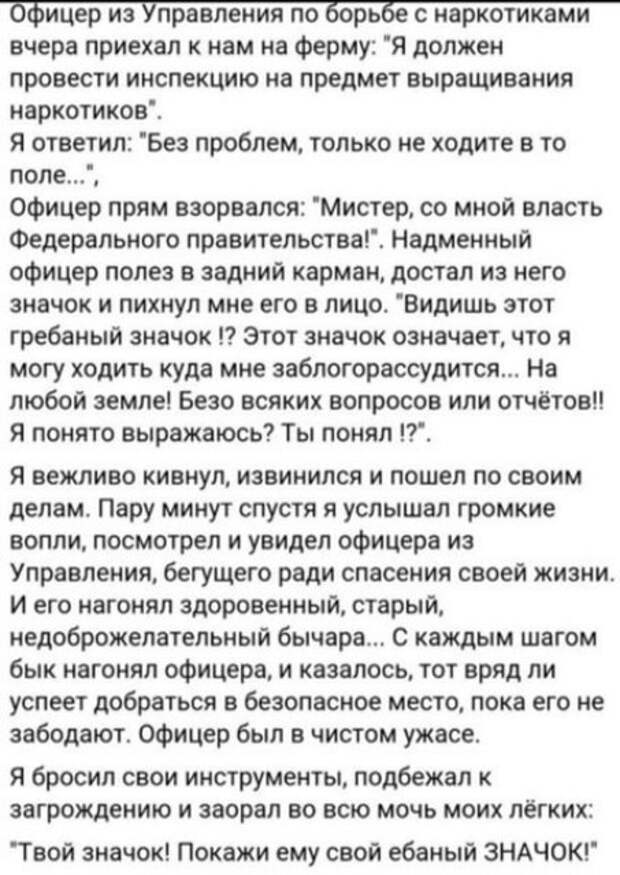 Очень смешные смс и картинки