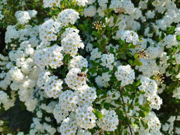 Прогноз погоды в Крыму на 6 мая