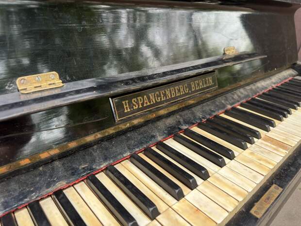 В Тюмень с концертом приедет знаменитый пианист Фредерик Кемпф