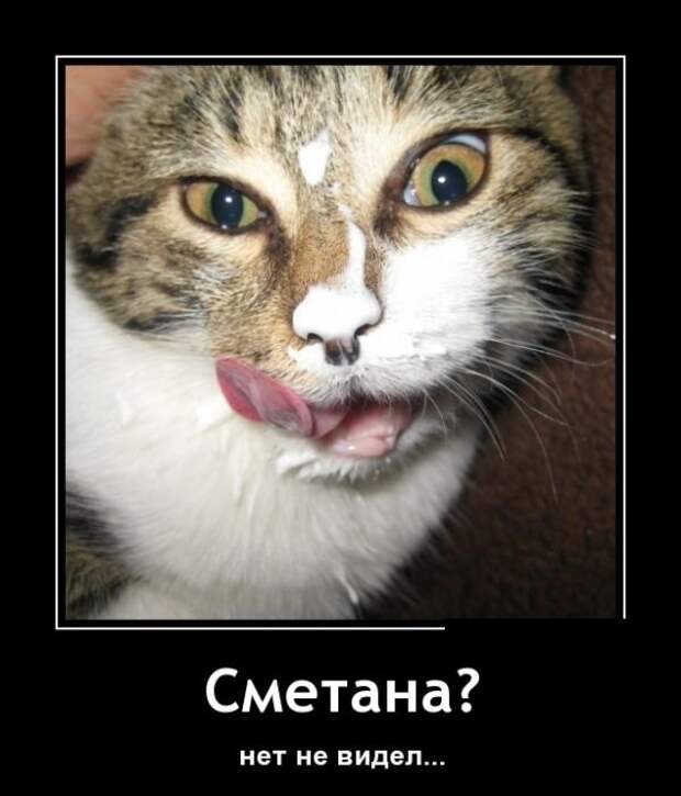Демотиваторы (30 фото)