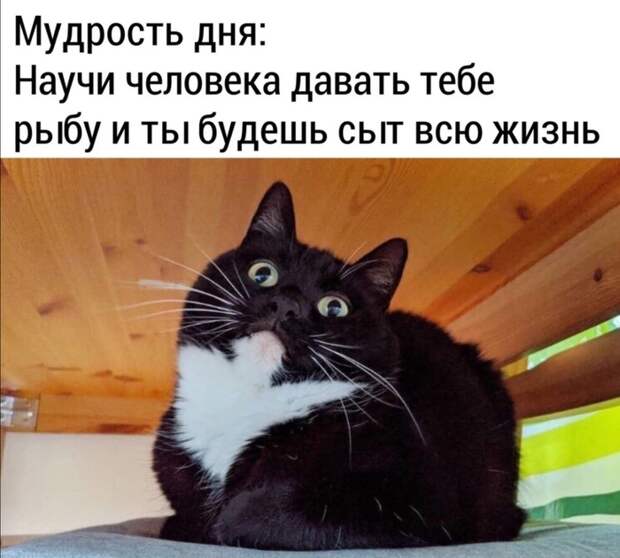 Мудрость дня Мудрость дня