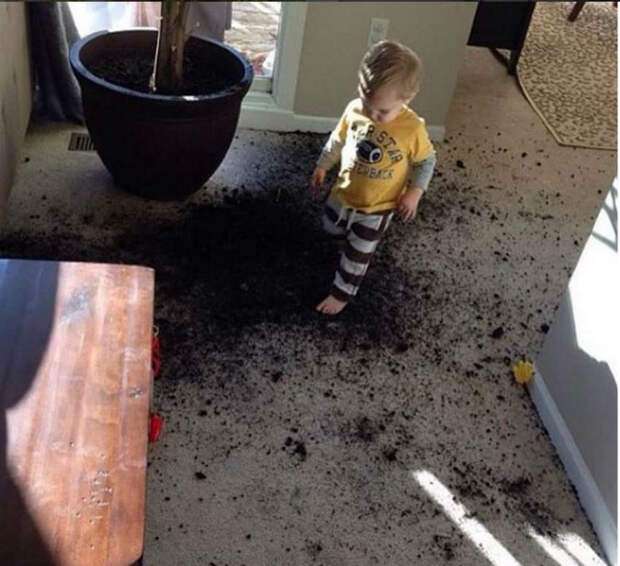 Маленький садовод. Маленький садовод.
