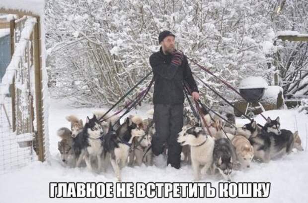 Прикольные картинки понедельника (31 шт)
