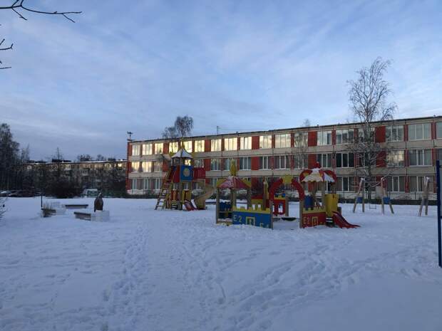 Депутаты Петербурга планируют изменить порядок личного досмотра в школах