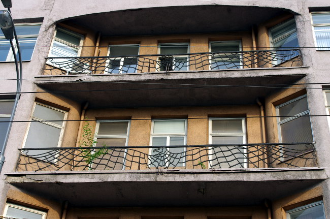 Московские птички 36
