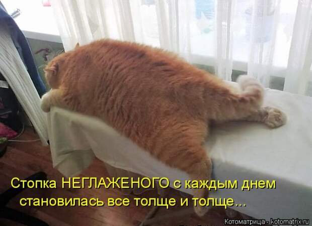 Забавные котоматрицы
