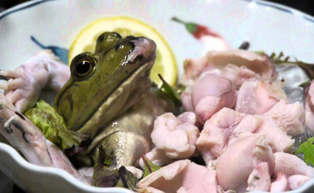 FoodsEatenAlive07 Съешь живым: 10 самых садистских блюд в мире