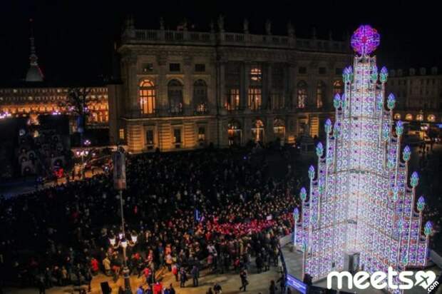Piazza Castello tree Piazza Castello, Milan