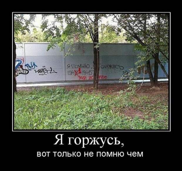 Немного новых демотиваторов