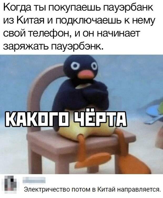 kartinok-prikolnyh-podborka-kartinki-smeshnye-kartinki-fotoprikoly