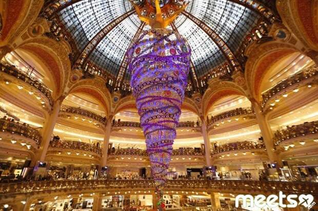 christmas tree, paris beautiful christmas tree