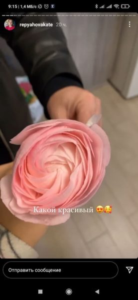 Екатерина Репяхова показала, каким романтиком бывает Виктор Павлик дома