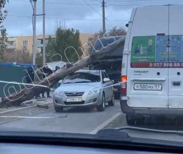 В Астрахани на проезжающую машину рухнуло дерево