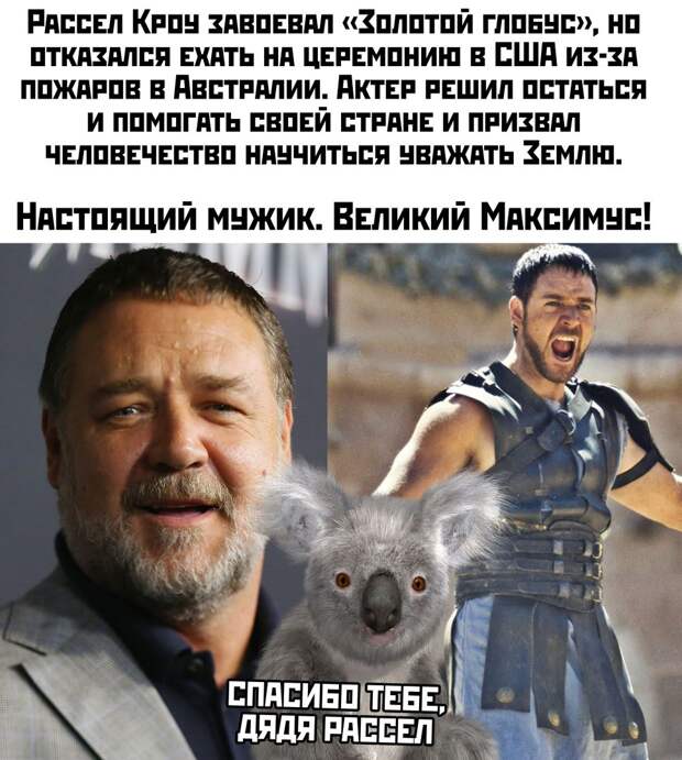kartinok-prikolnyh-podborka-kartinki-smeshnye-kartinki-fotoprikoly