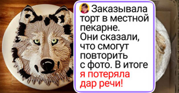 18 фото из серии «ожидание и реальность», где все пошло не по плану