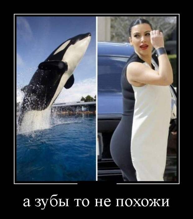 Демотиваторы (30 фото)