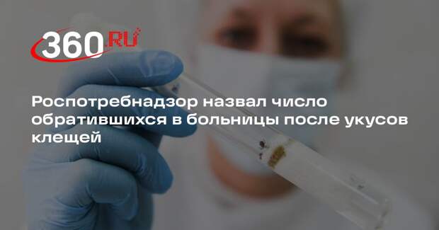 Роспотребнадзор: более 25 тыс. человек обратились в больницы из-за укусов клещей