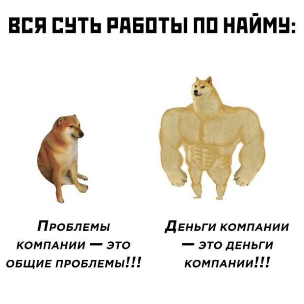 Смешные картинки 29 сентября 2021 года