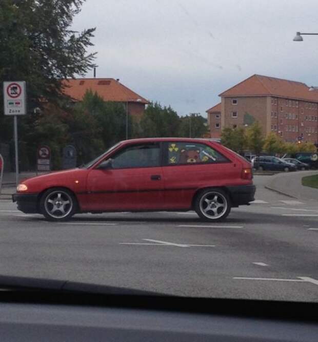 Прикольные картинки Прикольные картинки