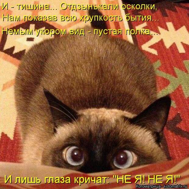 Забавные котоматрицы