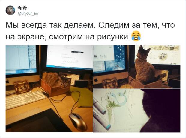 И пользователи Твиттера признают: работает!