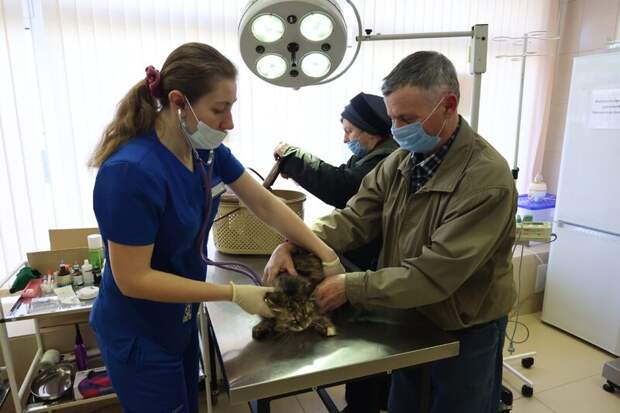 Студентам и молодым специалистам предложили пройти стажировку в области ветеринарии в Москве