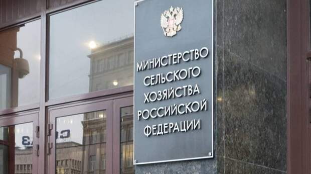 Минсельхоз запустит программу поддержки агроинвесторов за рубежом